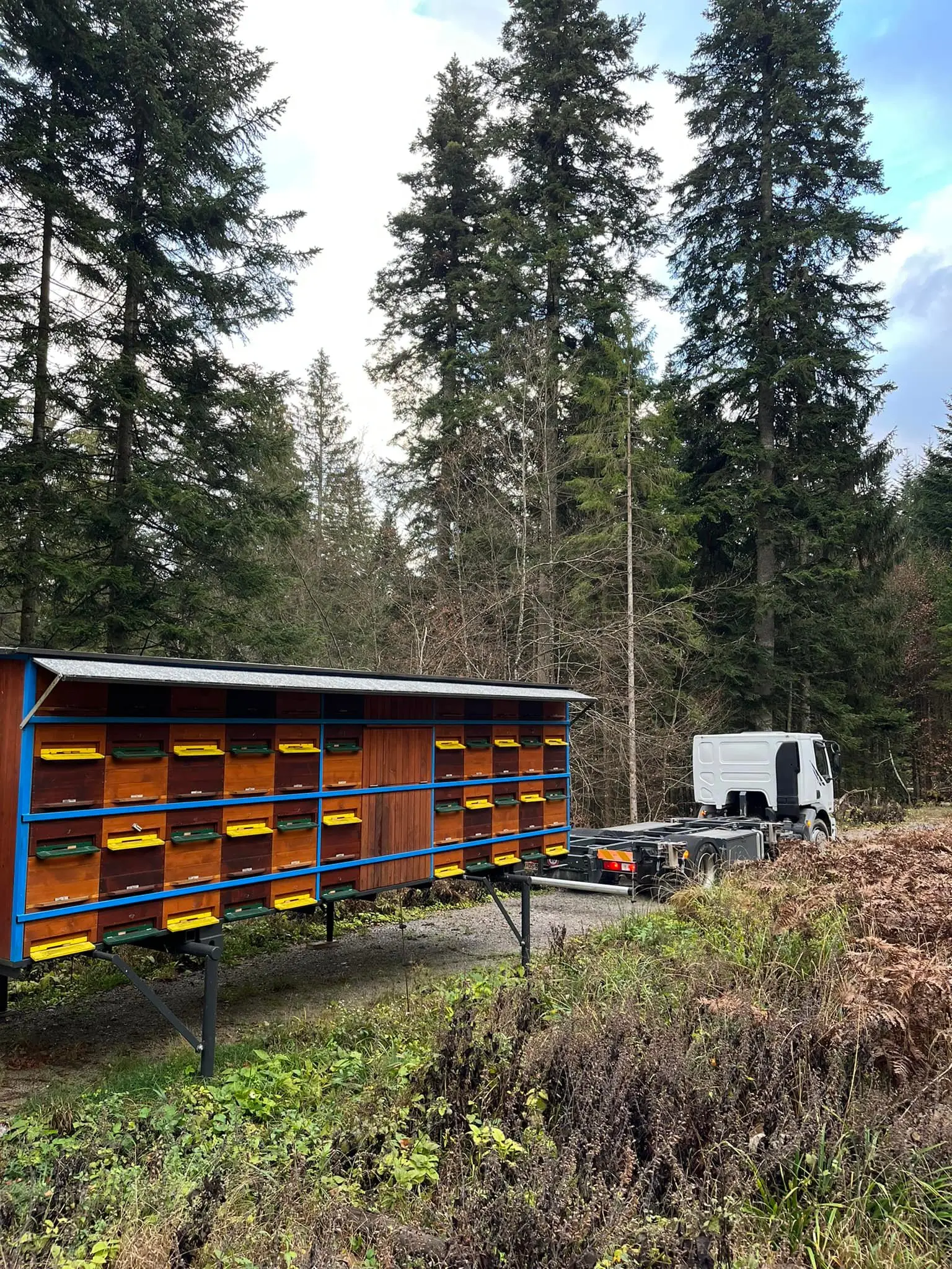 Prevozno čebelarstvo 8